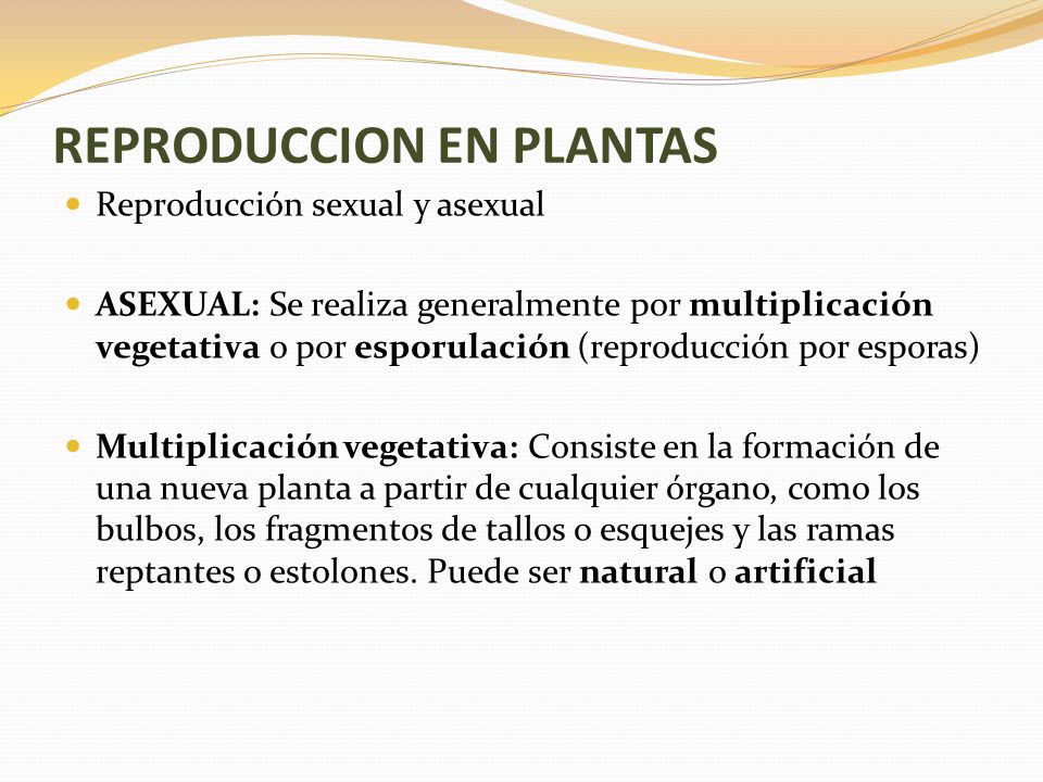 Free sites like pof Reproduccion sexual y asexual de las plantas ppt